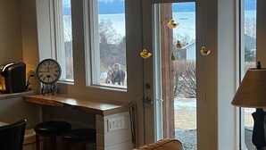 A kitchen with a clock, a coffee maker, and a view of a moose outside. - Private 3-bedroom Guesthouse with beautiful views of Kachemak Bay. (Homer)