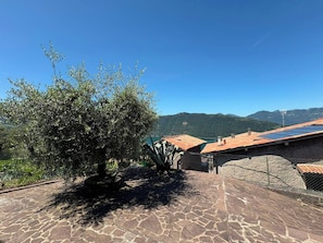 Un sentier pavé de pierres mène à un bâtiment doté d’un toit en tuiles, entouré d’oliviers et adossé à un paysage montagneux.