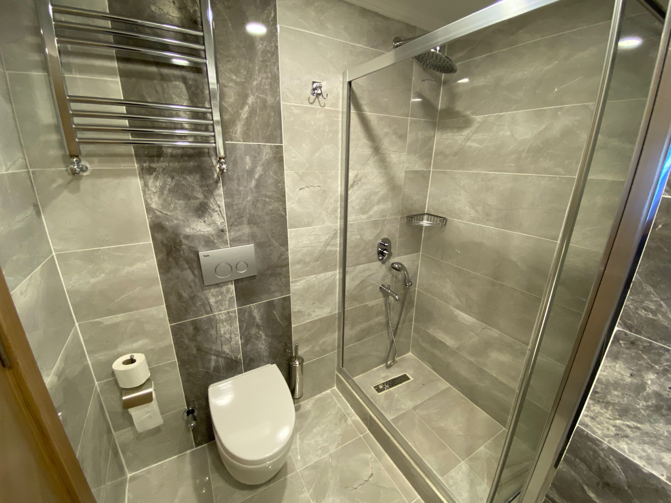 Et badeværelse med toilet, brusebad med glasdør, håndklædestang og sæbedispenser.