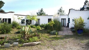A courtyard with white buildings, a cactus, and various plants. - Green Oasis 2 (Lacona)