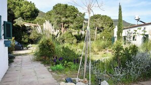 A garden with a pathway, plants, and a white building with shutters. - Green Oasis 2 (Lacona)