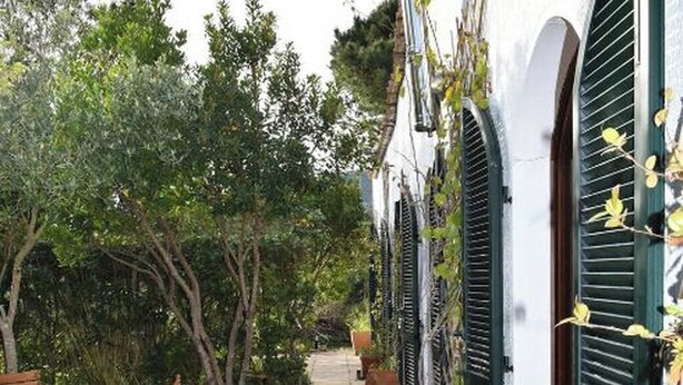 A narrow pathway with a tiled floor, flanked by white walls with green shutters and potted plants. - Green Oasis 2 (Lacona)