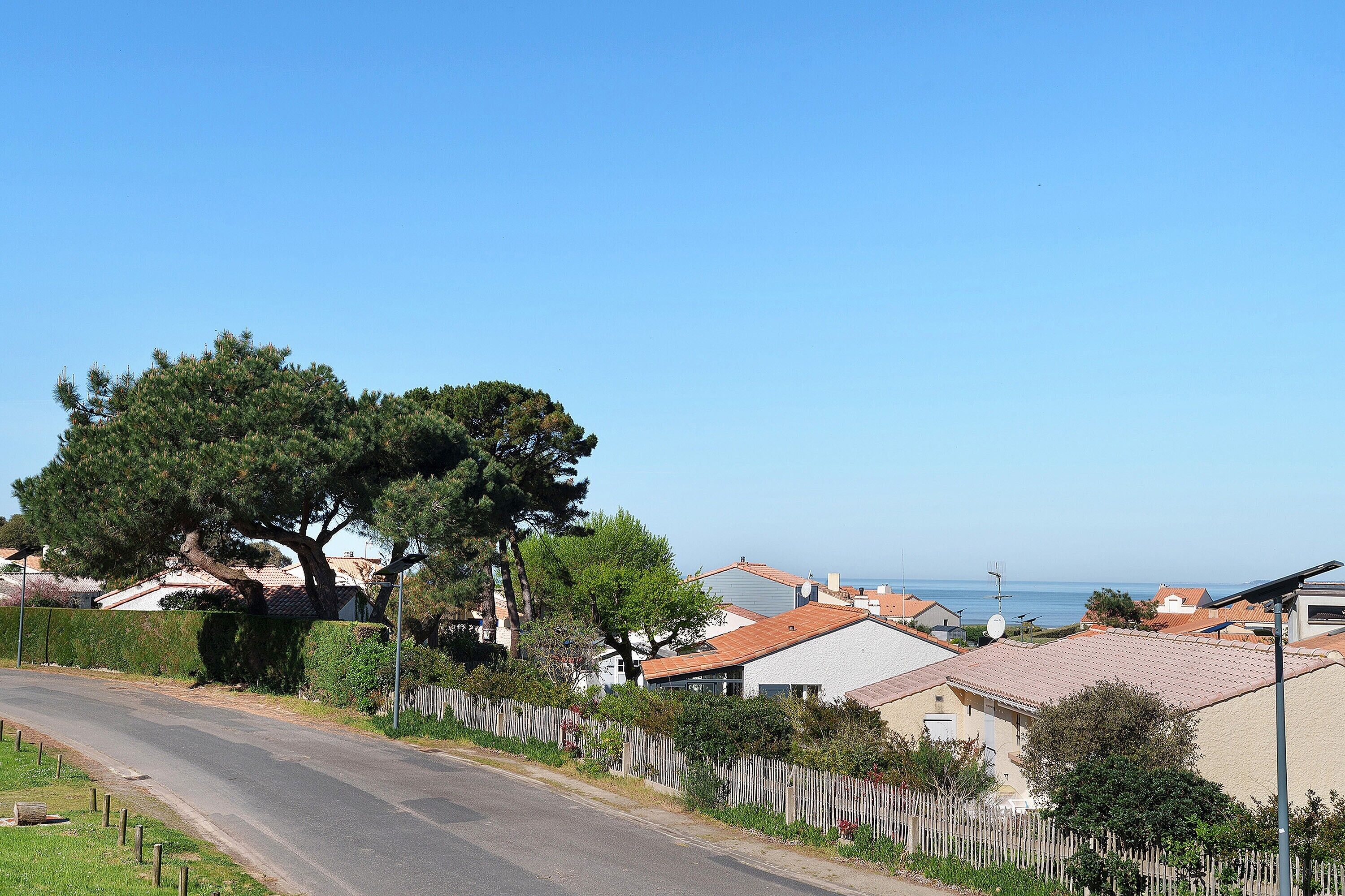 A residential street with houses, a large tree, and a clear blue sky.