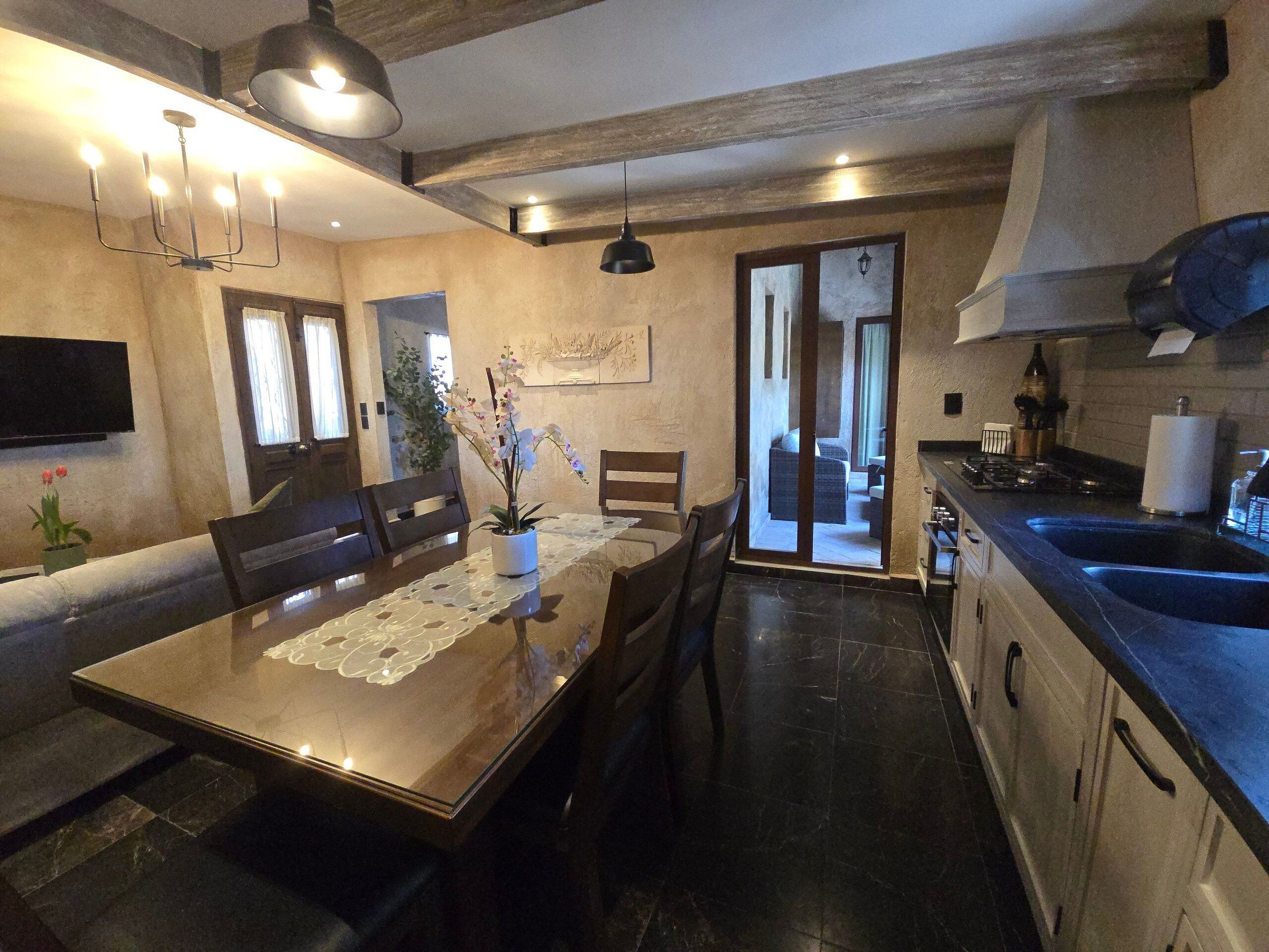 A dining area with a table, chairs, a potted plant, and a kitchen with a sink and stove.