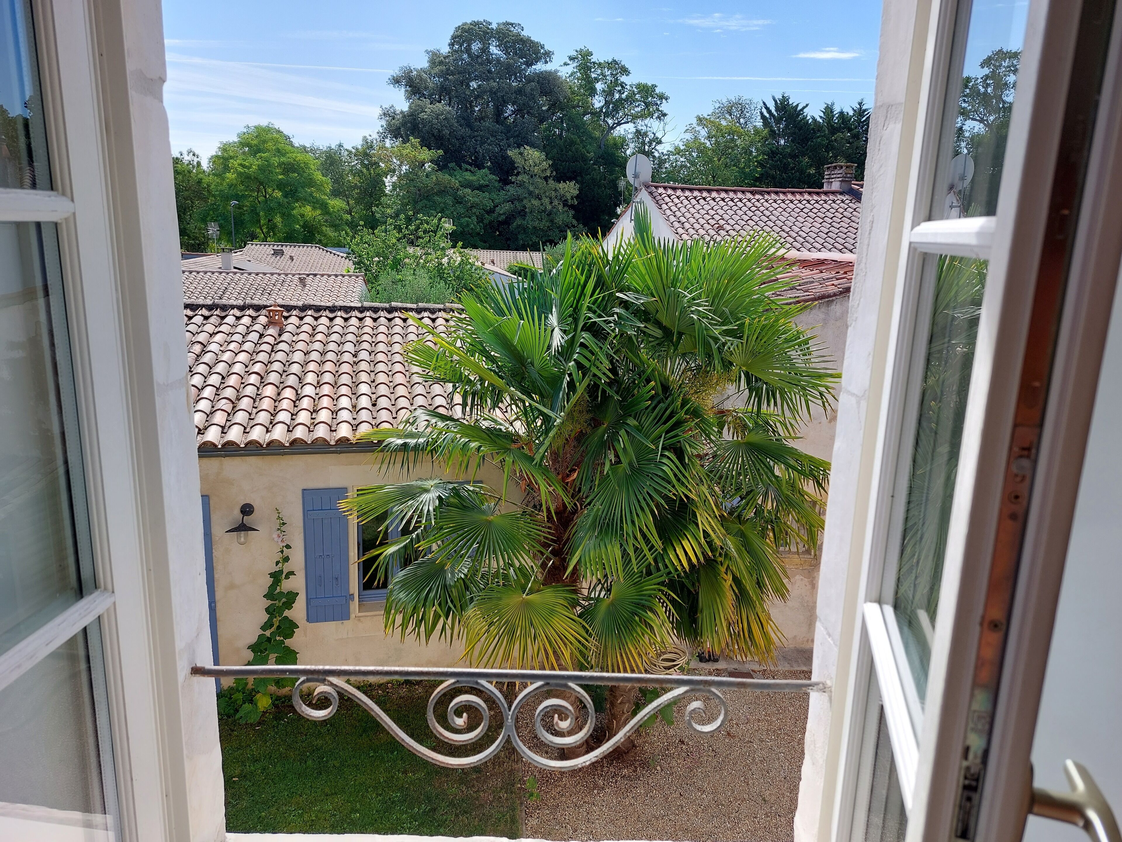 Un balcone con vista su un tetto in tegole e una palma.