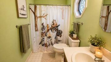 Shower, hair dryer