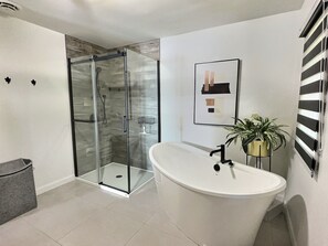 Shower, hair dryer, towels, toilet paper