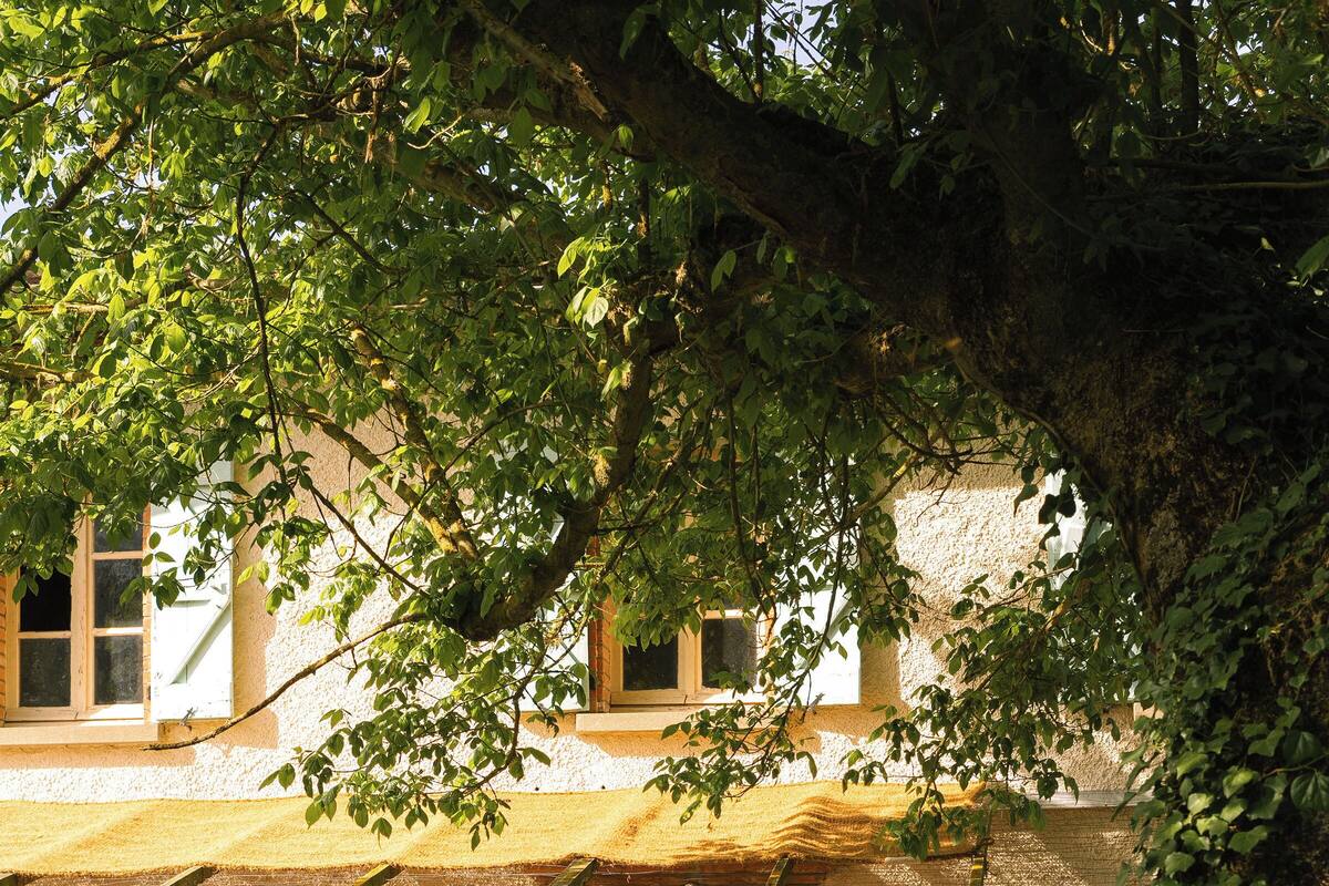 Un bâtiment doté d’un patio couvert, d’un espace extérieur aménagé avec des sièges et d’un jardin agrémenté de plantes et d’un petit étang.