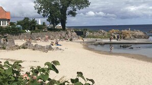 Ranta, jossa ihmiset ottavat aurinkoa ja uivat, suuri puu ja kivikkoinen rantaviiva.