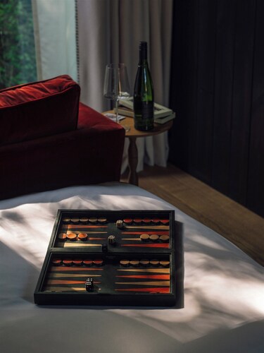 Mad Swans in The South Downs