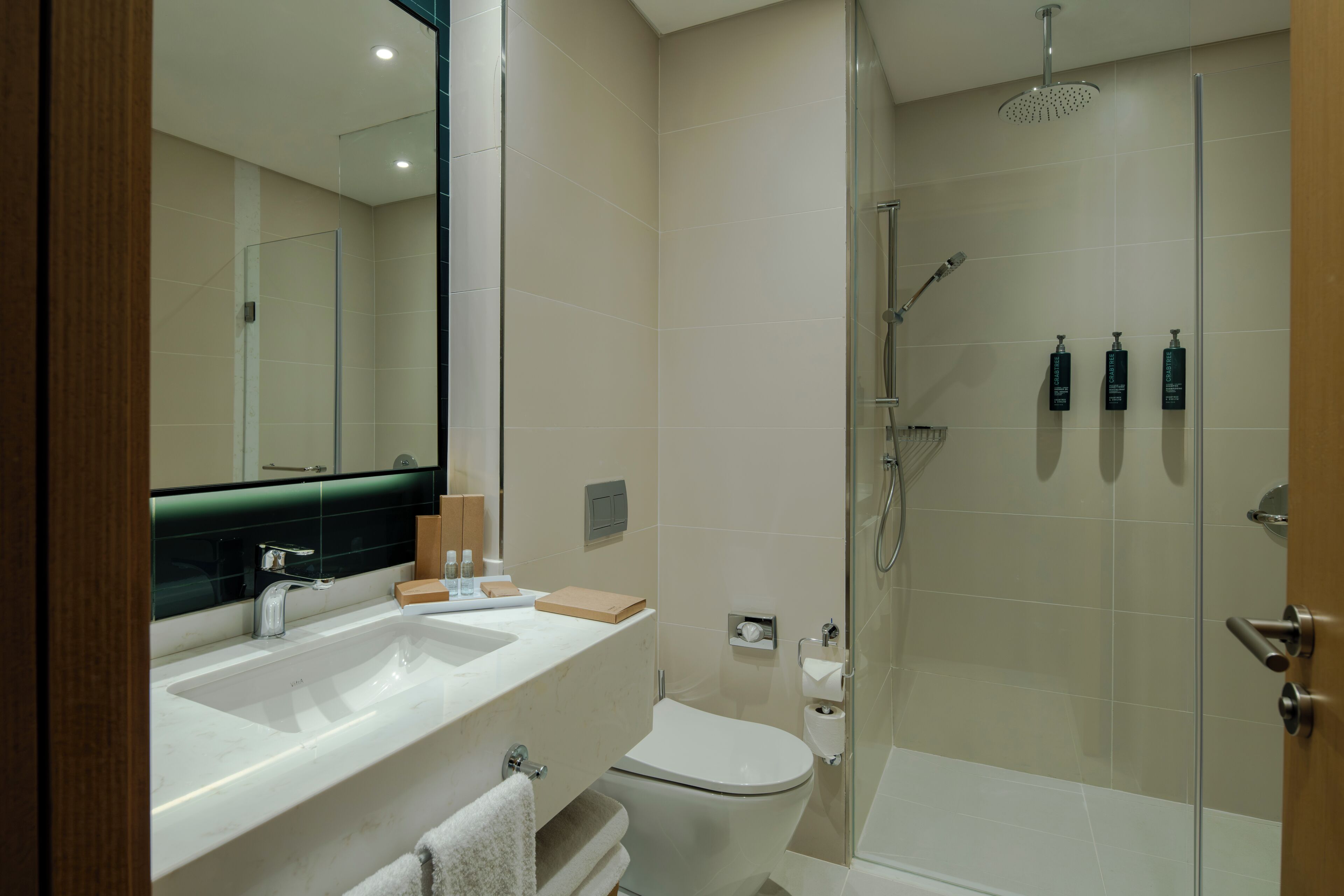 A modern bathroom with a glass shower enclosure, a sink, and a toilet.
