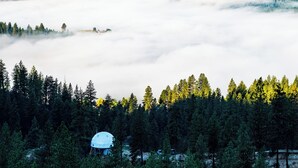 Una estructura abovedada rodeada de zona boscosa y montañas al fondo.