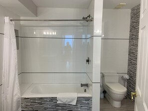 Bathroom - Amazing Ocean view Penthouse.  100 foot balcony direct Oceanview. (Miami Beach)