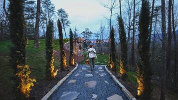 A pathway leading through a forest with stone steps and trees.
