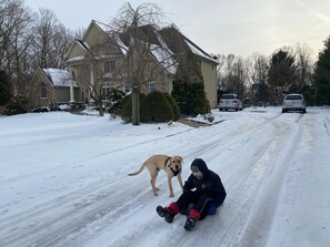 Property grounds - Astonishing Beautiful Country Estate House (Mansfield)