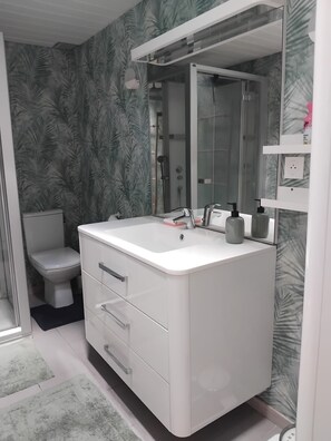 Shower, towels, toilet paper