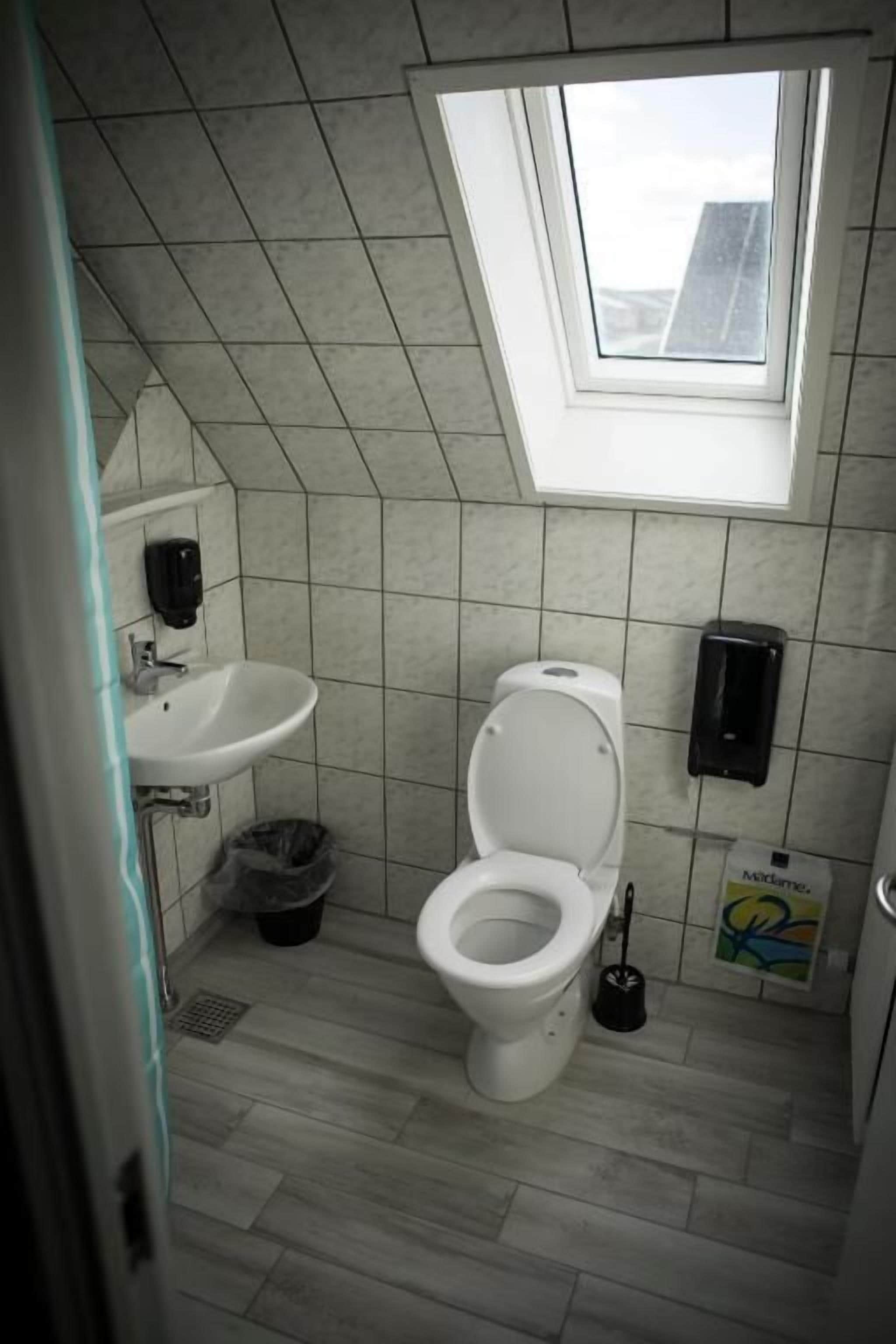 Une petite salle de bain avec un puits de lumière, des toilettes, un lavabo et une poubelle.