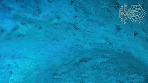 Une piscine intérieure à l’eau bleue, entourée d’un mur à la texture particulière.