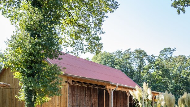 A wooden barn with a red roof, surrounded by a garden with pink flowering shrubs. - Exceptional "Kiefer" vacation apartment (Dötlingen)