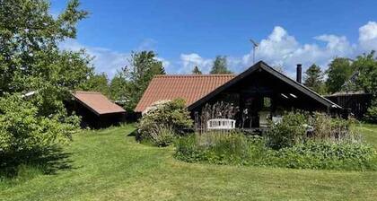 4 Star Holiday Home in Dronningmolle