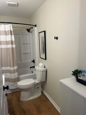 Hair dryer, towels, soap, toilet paper - 2 Bed/1 Bath - 5 Miles to Downtown! (Greenville)
