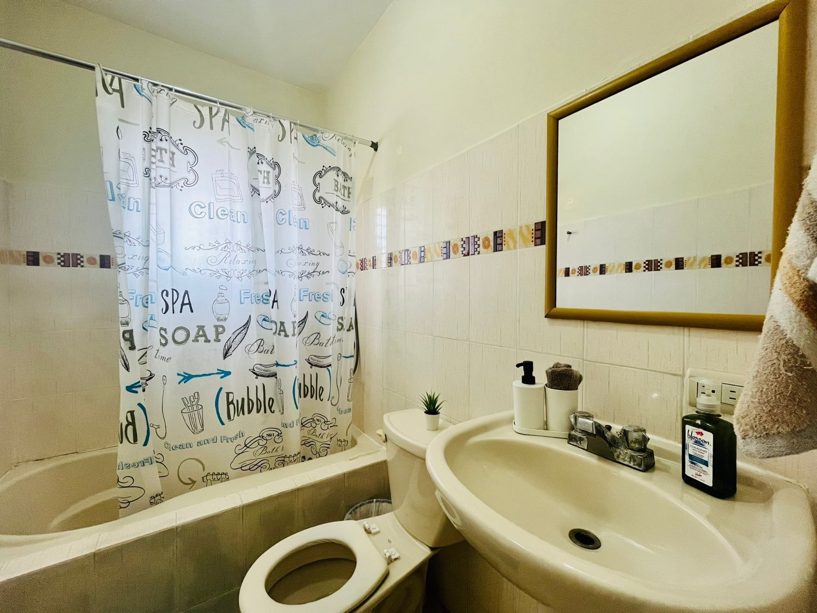 Dusche, Handtücher, Seife, Toilettenpapier