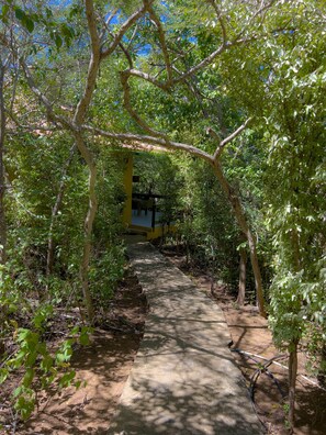 Property grounds - Totolica - The green flamingo (Sint Willibrordus)
