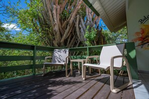 Terrace/patio - Prikichi - The green flamingo (Sint Willibrordus)
