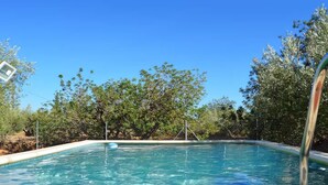 A rectangular swimming pool with clear blue water, surrounded by a fence and trees.