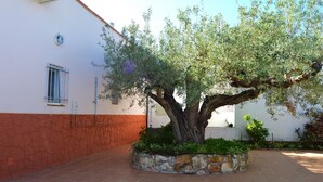 A courtyard with a large tree, a stone planter, and a building with a red and white facade.