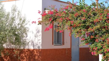 Exterieur
