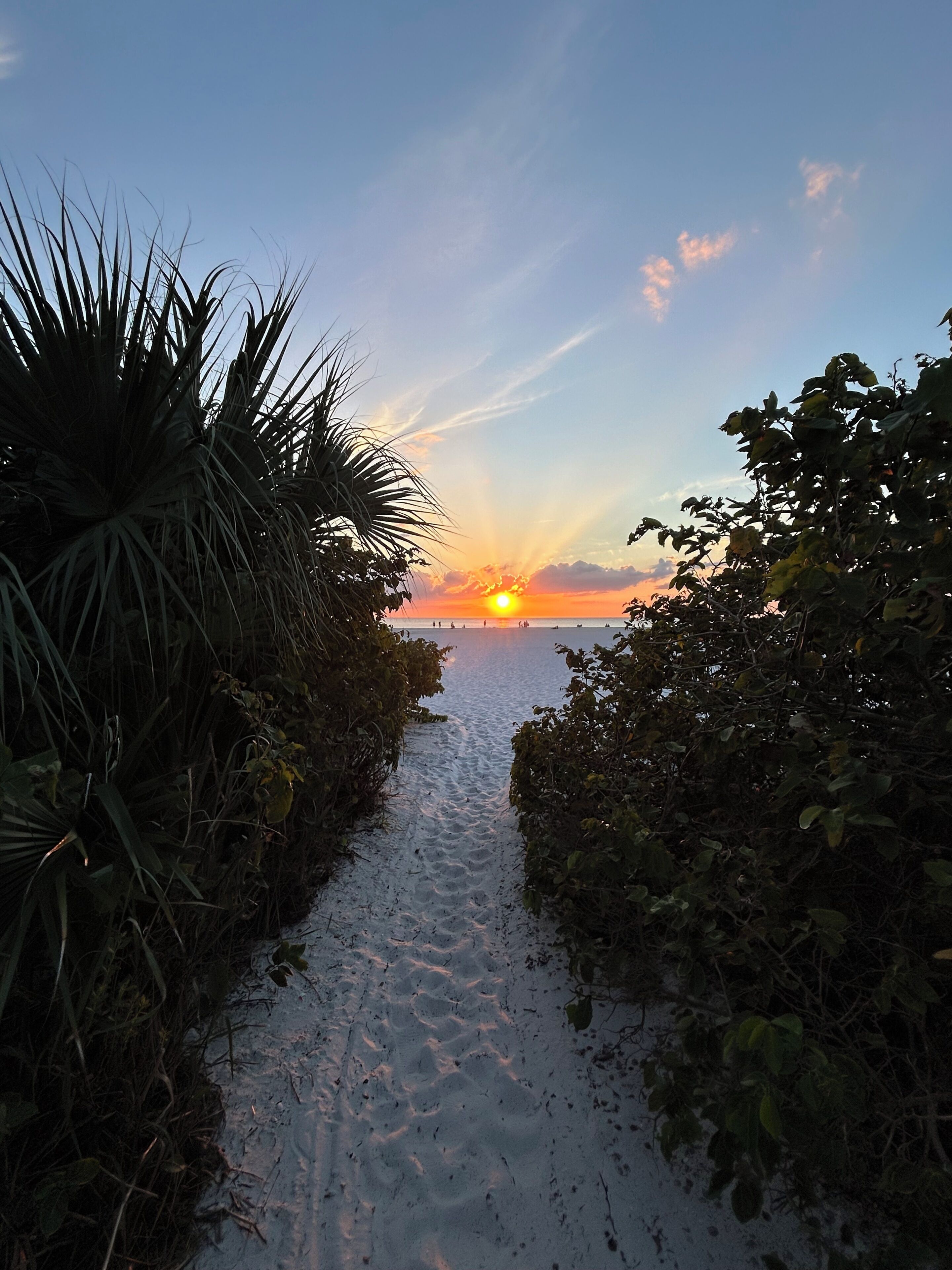 A pathway leading to a beach with a sunset in the background.