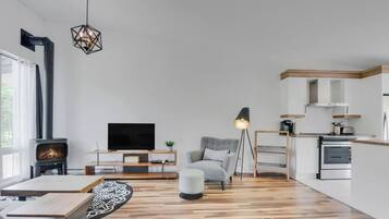 Fernseher, Kamin