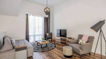 TV, fireplace