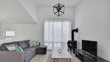 TV, fireplace, offices