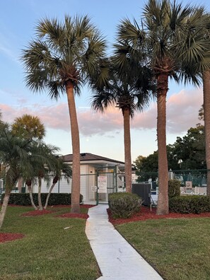 Property grounds - Sunset Escape Heated Pool : Honeymoon Island Pass + Gated Community (Oldsmar)