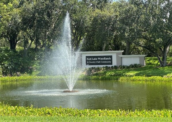 Property grounds - Sunset Escape Heated Pool : Honeymoon Island Pass + Gated Community (Oldsmar)