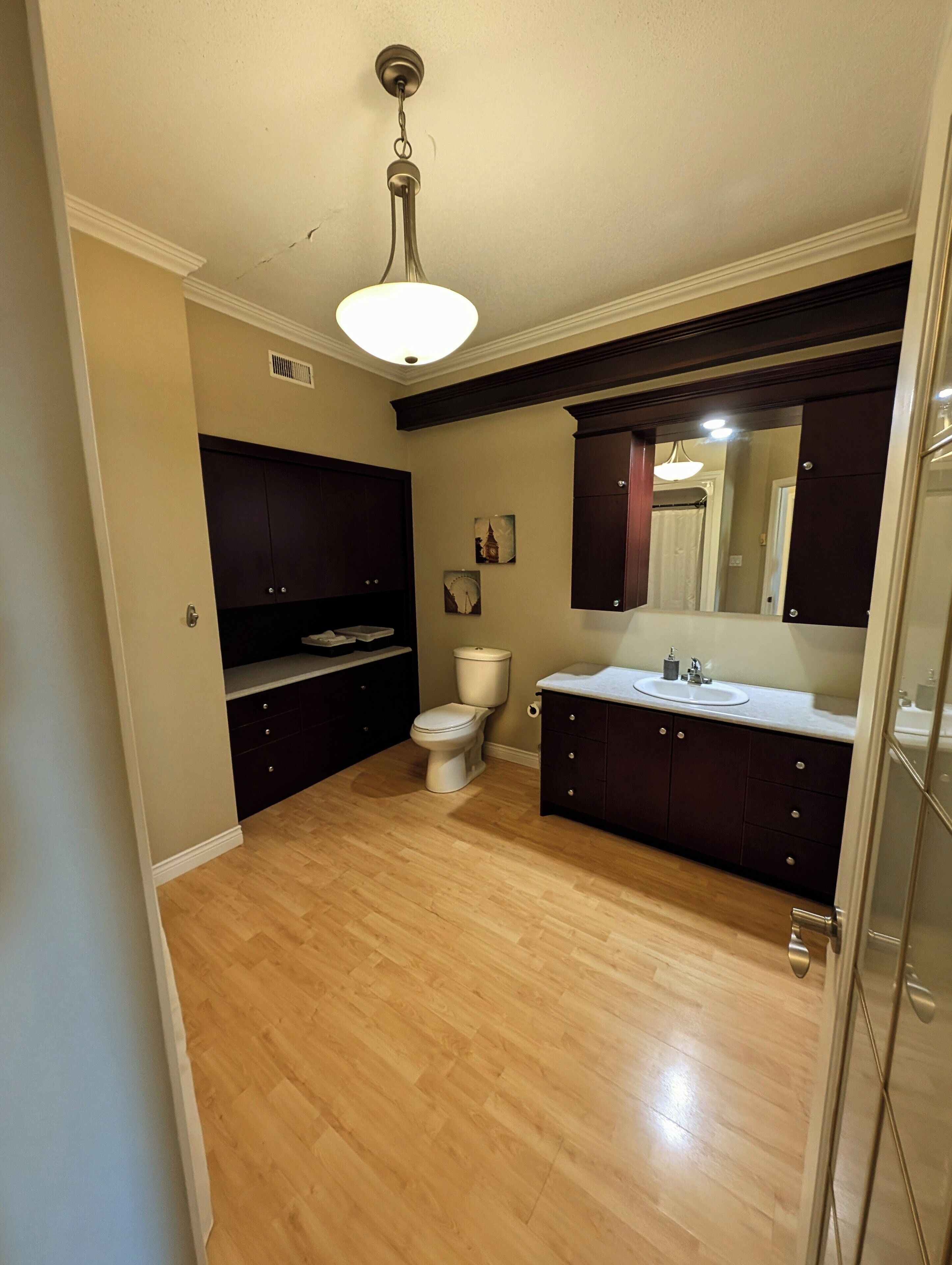 Hair dryer, towels, soap, toilet paper