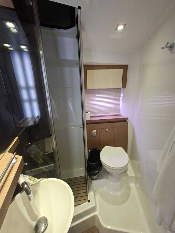 Shower, towels, soap, toilet paper