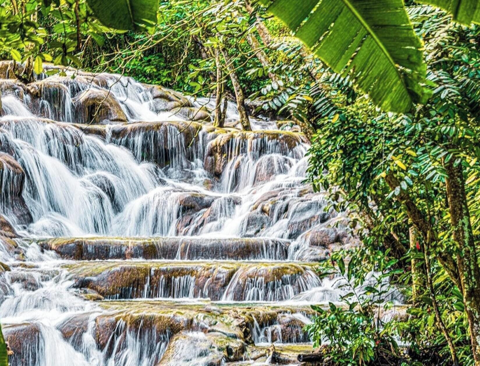 Une cascade à plusieurs niveaux, entourée d’une végétation luxuriante.