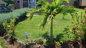 Una casa residenziale con un prato curato, una palma e diversi arbusti.