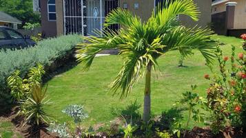 House, 3 Bedrooms, Accessible, Patio | Garden