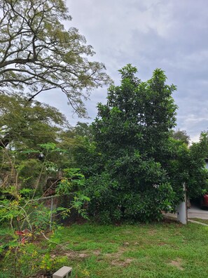 Property grounds - Cozy 1-bedroom barn in beautiful Tampa with AC (Tampa)