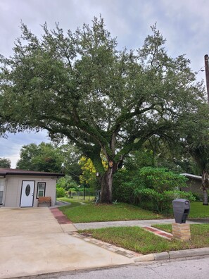 Overnatningsstedets område