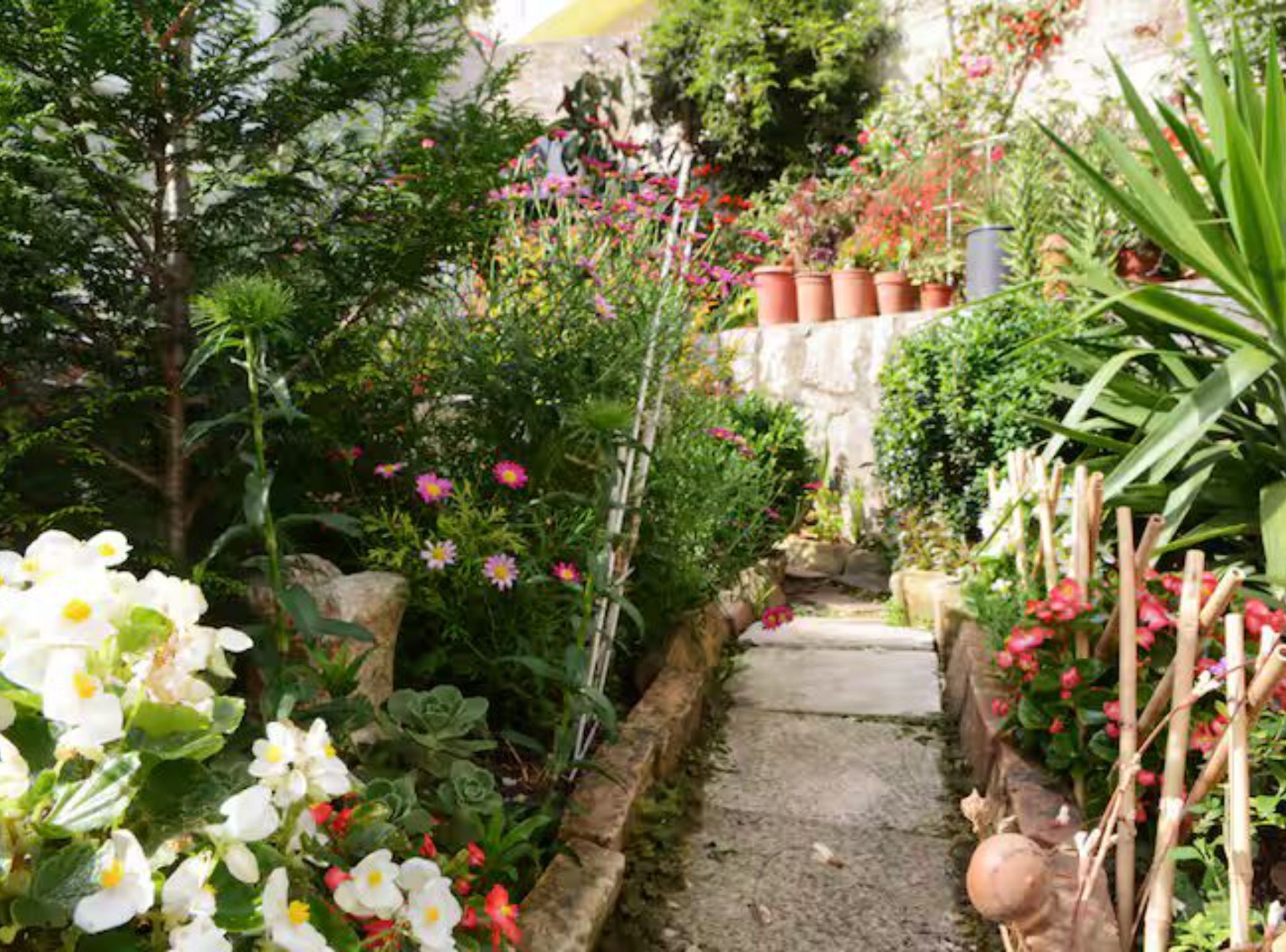 Huis (Three bedroom house) | Tuin