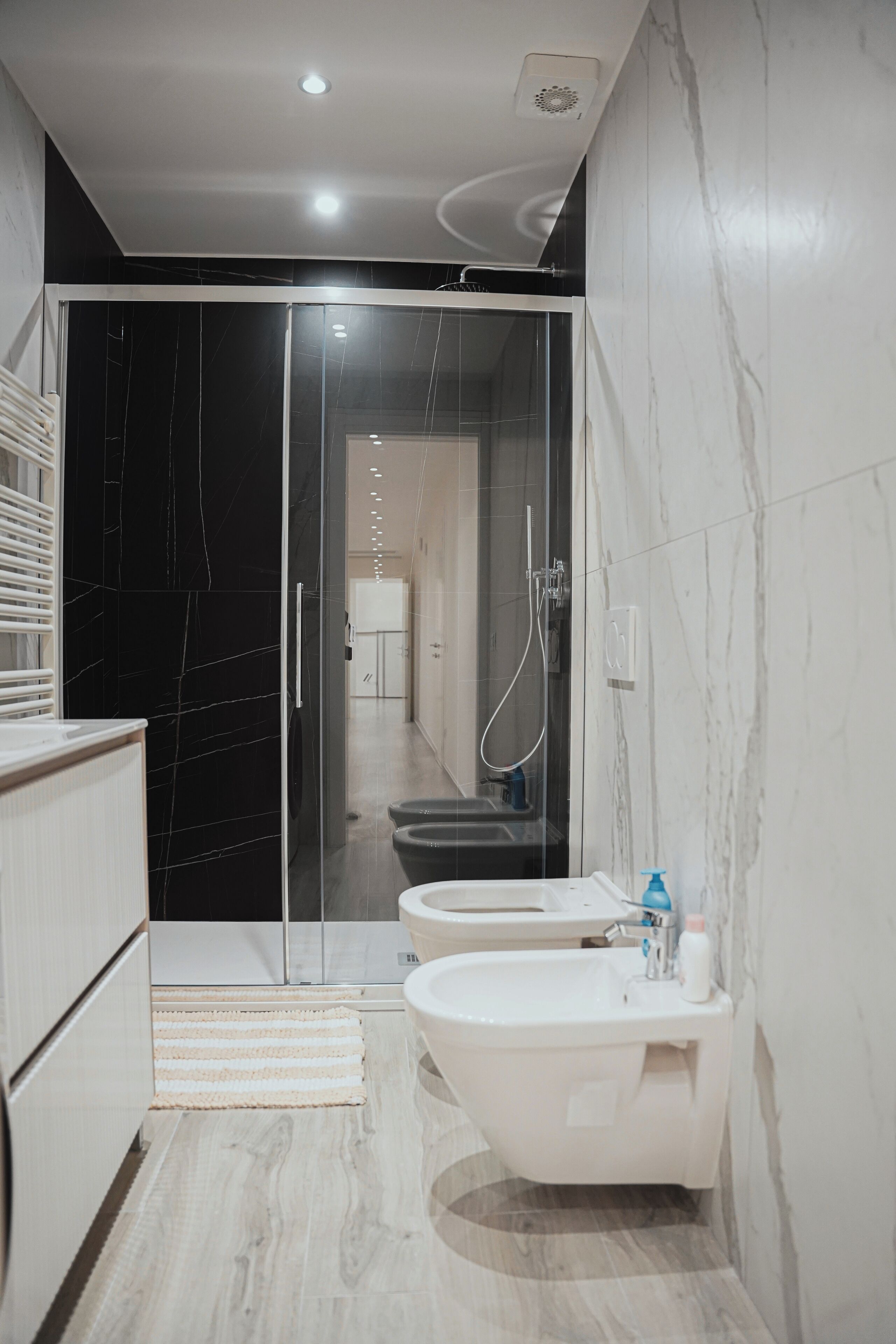 Shower, hair dryer, bidet, towels