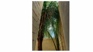 Property grounds - Home away from home. Location, location, location (Playa del Carmen)