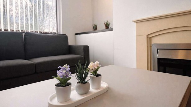 Un salon moderne avec un canapé, une cheminée et des plantes en pot disposées sur une table.