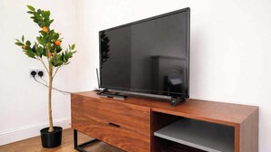 Un téléviseur à écran plat posé sur un meuble télé en bois, avec une plante à côté.