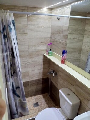 Ein Badezimmer mit Dusche, Toilette und Spiegel.